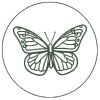 Startseite 2 Icon Veraendern